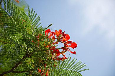 国外Mod制作者分享《血源》60FPS运行效果